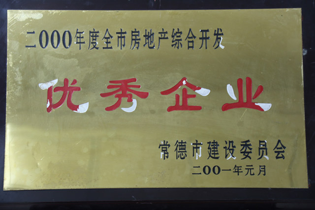 2000年度全市房地產(chǎn)綜合開發(fā)一”優(yōu)秀企業(yè)“