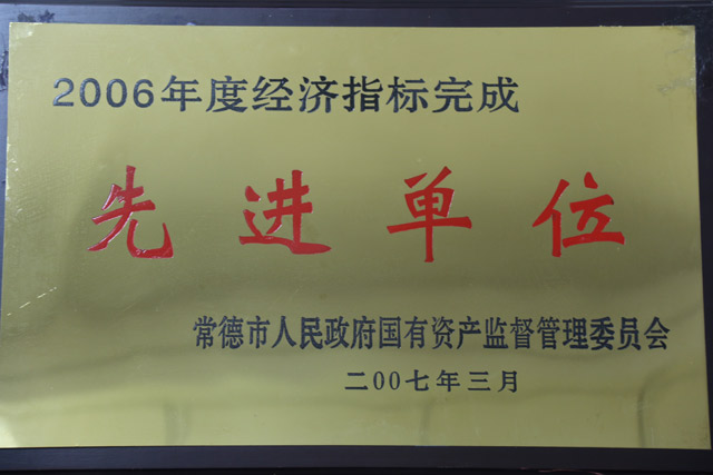 2006年度經(jīng)濟指標完成一”先進單位“